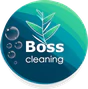 Boss Cleaning